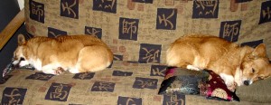 Zorro and Looker.