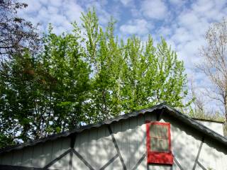 4/10/03: House, trees, sky.