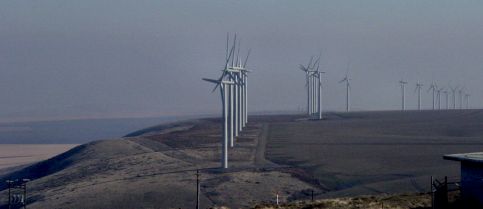 windmills on JOJ