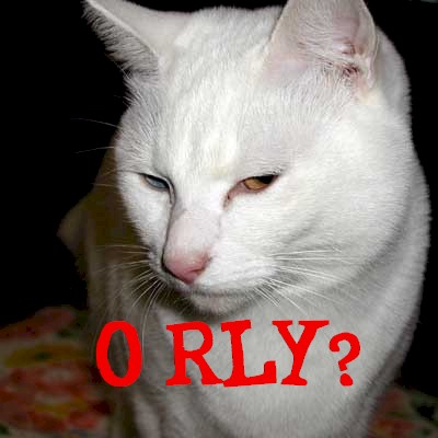 [Image: orly_white_cat.jpg]